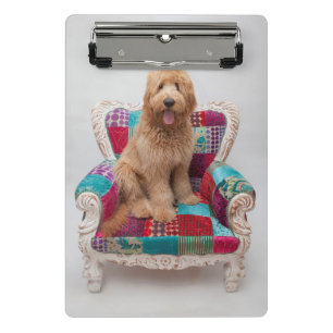 Getty Bilder niedliches Goldendoodle Mini Klemmbrett