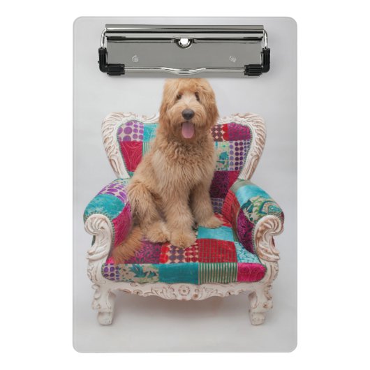 Getty Bilder | niedliches Goldendoodle Mini Klemmbrett (Vorderseite)