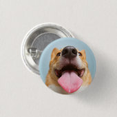 Getty Bilder| sehr glücklicher Corgi Button (Vorne & Hinten)