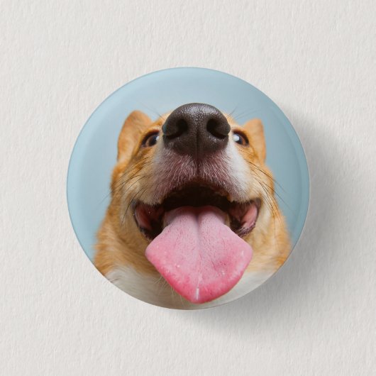 Getty Bilder| sehr glücklicher Corgi Button (Vorderseite)