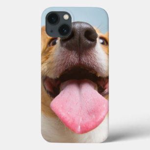 Getty Bilder  sehr glücklicher Corgi Case-Mate iPhone Hülle