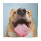Getty Bilder| sehr glücklicher Corgi Fliese (Vorderseite)