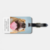 Getty Bilder| sehr glücklicher Corgi Gepäckanhänger (Rückseite horizontal)