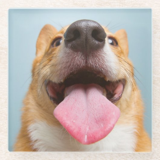 Getty Bilder| sehr glücklicher Corgi Glasuntersetzer (Vorderseite)