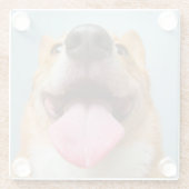 Getty Bilder| sehr glücklicher Corgi Glasuntersetzer (Rückseite)