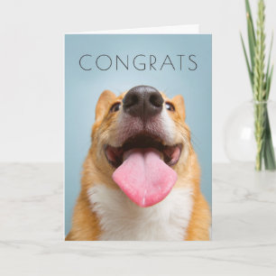 Getty Bilder  sehr glücklicher Corgi Karte