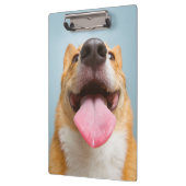 Getty Bilder| sehr glücklicher Corgi Klemmbrett (Links)
