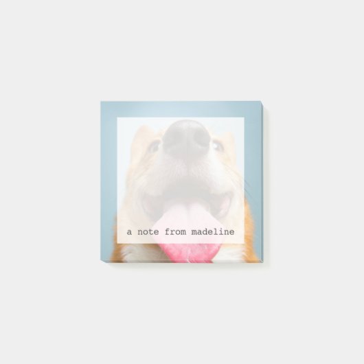 Getty Bilder| sehr glücklicher Corgi Post-it Klebezettel (Vorderseite)