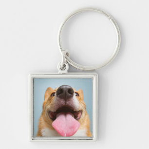 Getty Bilder  sehr glücklicher Corgi Schlüsselanhänger
