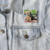 Getty Bilder | zwei Kätzchen auf einem Balkon Button (Beispiel)