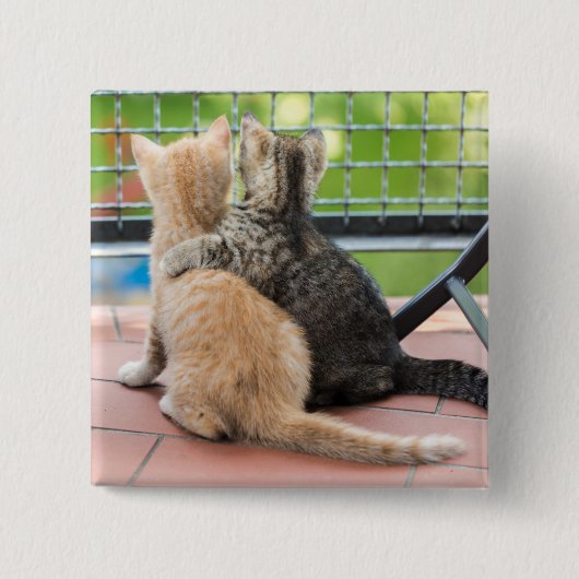 Getty Bilder | zwei Kätzchen auf einem Balkon Button (Vorderseite)