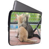 Getty Bilder | zwei Kätzchen auf einem Balkon Laptopschutzhülle (Vorne Rechts)
