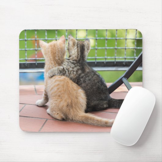 Getty Bilder | zwei Kätzchen auf einem Balkon Mousepad (Mit Mouse)