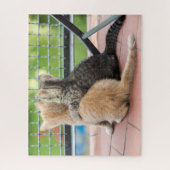Getty Bilder | zwei Kätzchen auf einem Balkon Puzzle (Vertikal)
