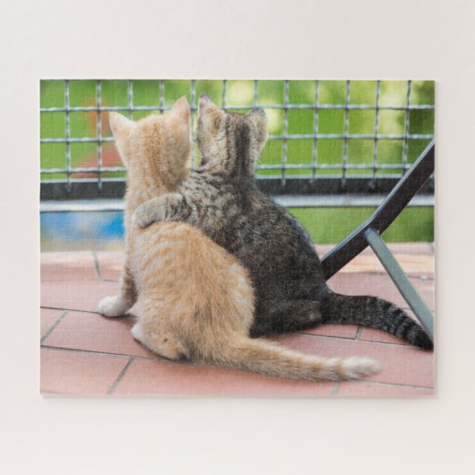 Getty Bilder | zwei Kätzchen auf einem Balkon Puzzle (Horizontal)
