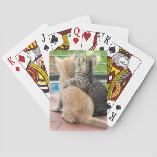 Getty Bilder   zwei Kätzchen auf einem Balkon Spielkarten