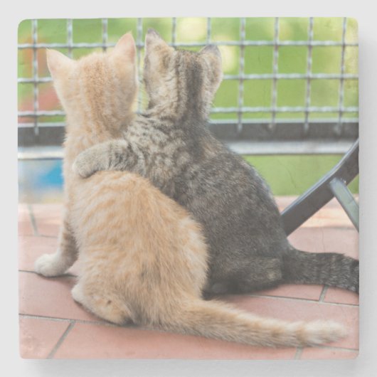 Getty Bilder | zwei Kätzchen auf einem Balkon Steinuntersetzer (Vorderseite)