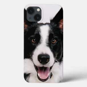 Getty Images A Smiling Border Collie Case-Mate iPhone Hülle