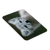 Getty Images | Arctic Fox Kit Magnet (Rechte Seite)