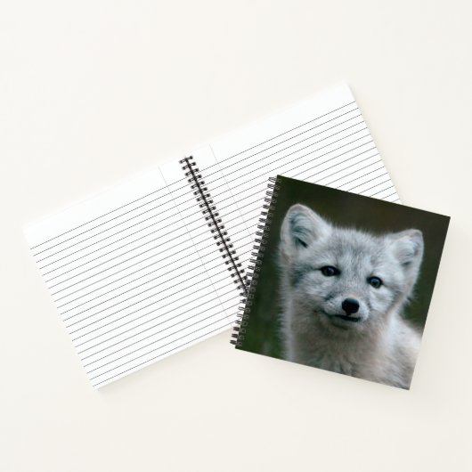 Getty Images | Arctic Fox Kit Notizbuch (Innenseite)