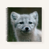 Getty Images | Arctic Fox Kit Notizbuch (Vorderseite)