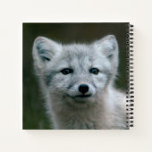Getty Images | Arctic Fox Kit Notizbuch (Rückseite)