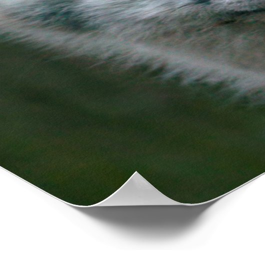 Getty Images | Arctic Fox Kit Poster (Ecke)