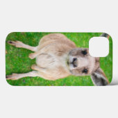 Getty Images | Baby Kangaroo Case-Mate iPhone Hülle (Rückseite (Horizontal))
