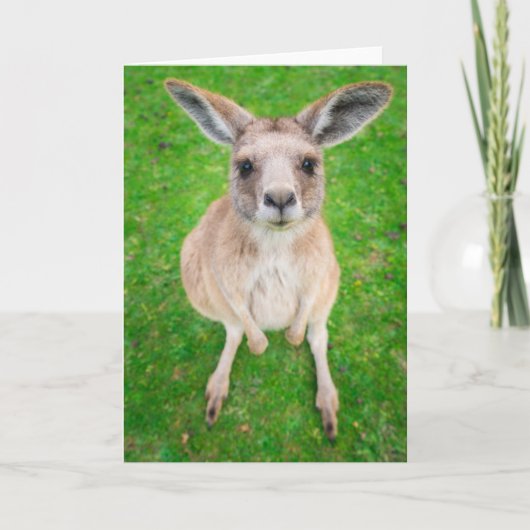 Getty Images | Baby Kangaroo Karte (Vorderseite)