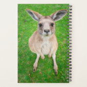 Getty Images | Baby Kangaroo Planer (Rückseite)