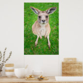 Getty Images | Baby Kangaroo Poster (Küche)