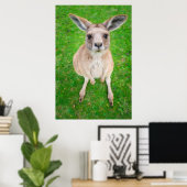 Getty Images | Baby Kangaroo Poster (Heimbüro)
