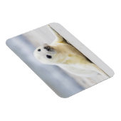 Getty Images | Baby-Siegel Magnet (Rechte Seite)