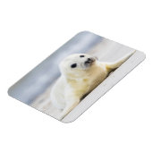 Getty Images | Baby-Siegel Magnet (Linke Seite)