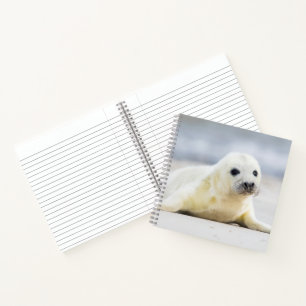 Getty Images Baby-Siegel Notizbuch