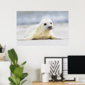 Getty Images | Baby-Siegel Poster (Heimbüro)