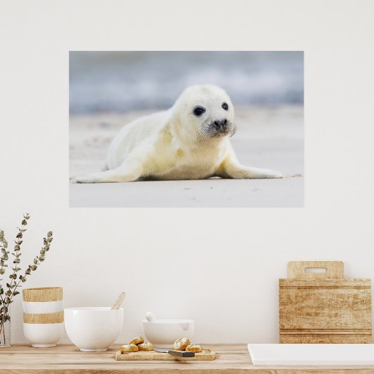 Getty Images | Baby-Siegel Poster (Küche)