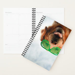 Getty Images Brille-Hund Planer