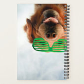 Getty Images | Brille-Hund Planer (Rückseite)