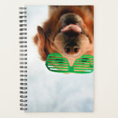 Getty Images | Brille-Hund Planer (Vorderseite)