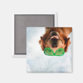 Getty Images | Brillenhund Magnet (Vorderseite/Rückseite)