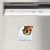 Getty Images | Brillenhund Magnet (In Situ (Geschirrspüler))