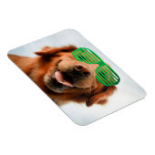 Getty Images | Brillenhund Magnet (Rechte Seite)