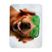 Getty Images | Brillenhund Magnet (Vertikal)