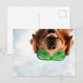 Getty Images | Brillenhund Postkarte (Vorne/Hinten)