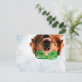 Getty Images | Brillenhund Postkarte (Stehend Vorderseite)