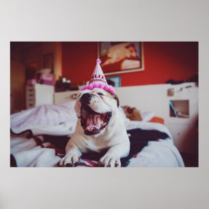 Getty Images   British Bulldog Poster