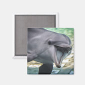 Getty Images | Delphin Magnet (Vorderseite/Rückseite)