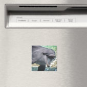 Getty Images | Delphin Magnet (In Situ (Geschirrspüler))