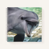 Getty Images | Delphin Notizbuch (Vorderseite)
